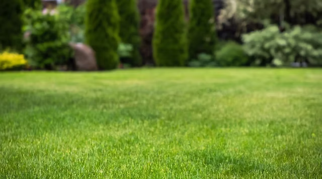 Commercial lawn care across Halifax