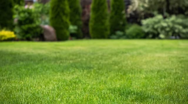 Commercial Lawn Care